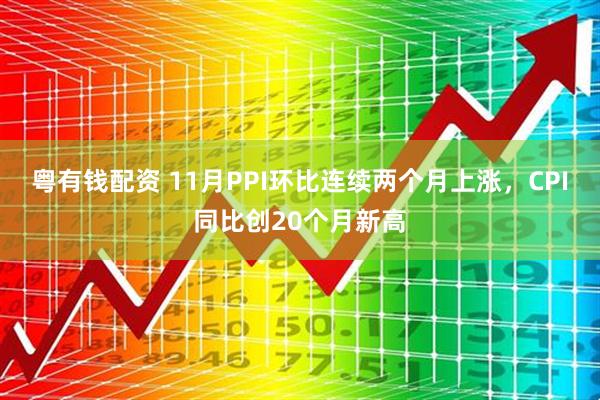 粤有钱配资 11月PPI环比连续两个月上涨,CPI同比创20个月新高